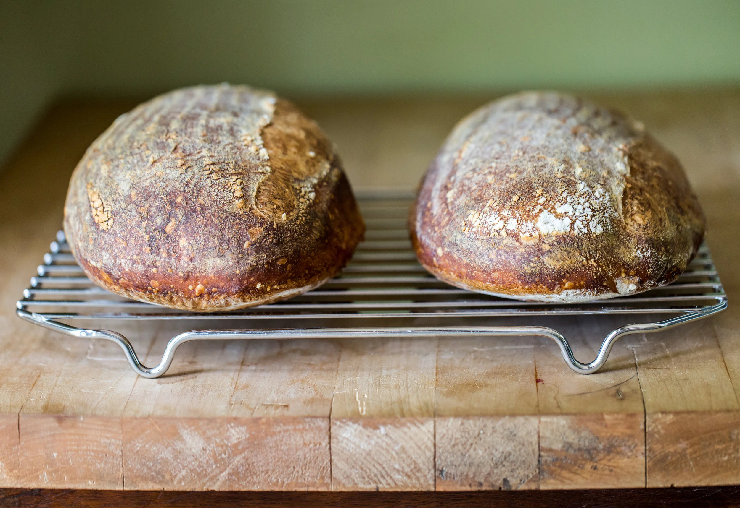 Bread FINALS-1.jpg