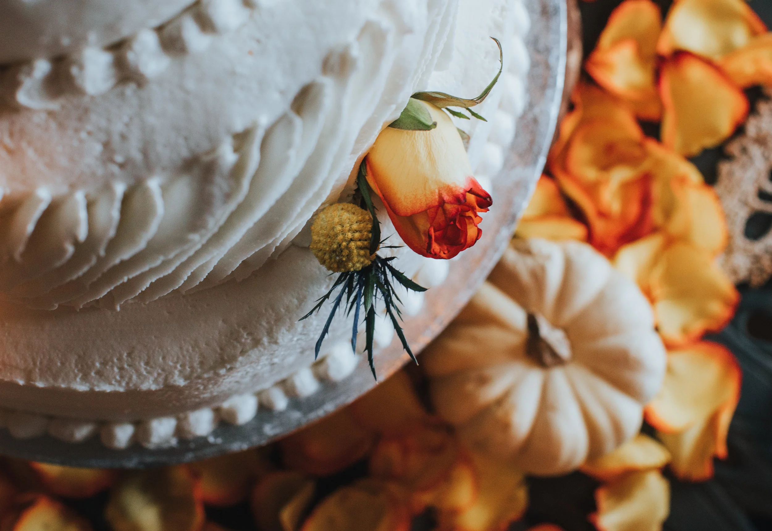Landyn and Erica Wedding JB Photo FINALS-296.jpg