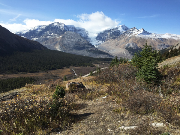 Wilcox Pass