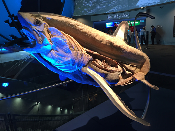 Vancouver Aquarium
