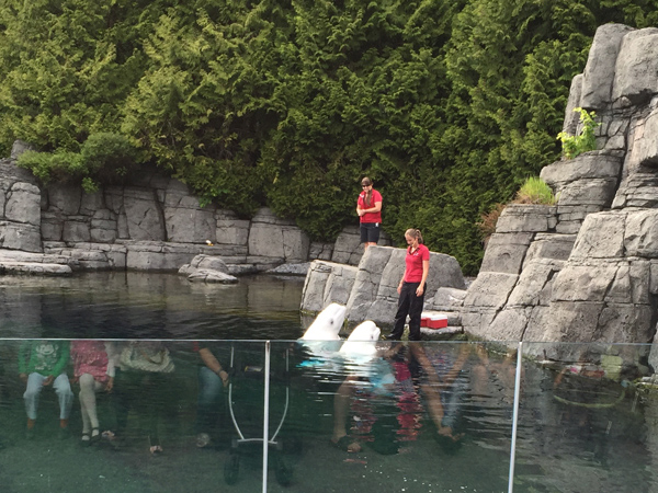 Vancouver Aquarium