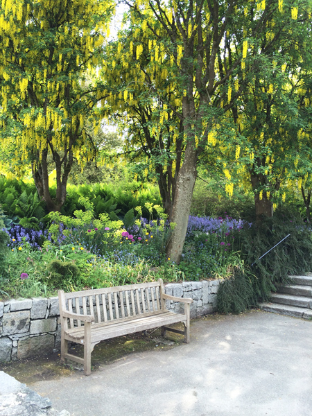 VanDusen Botanical Garden