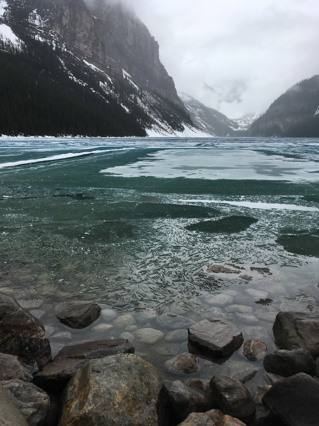 I've seen Lake Louise covered with snow but I had never seen half frozen which was pretty cool. 