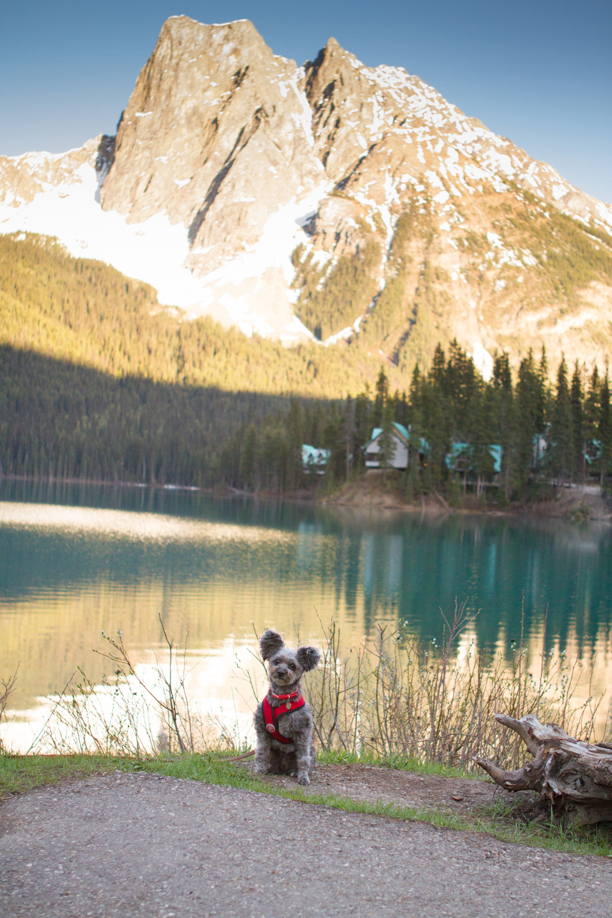 Sunset at Emerald Lake
