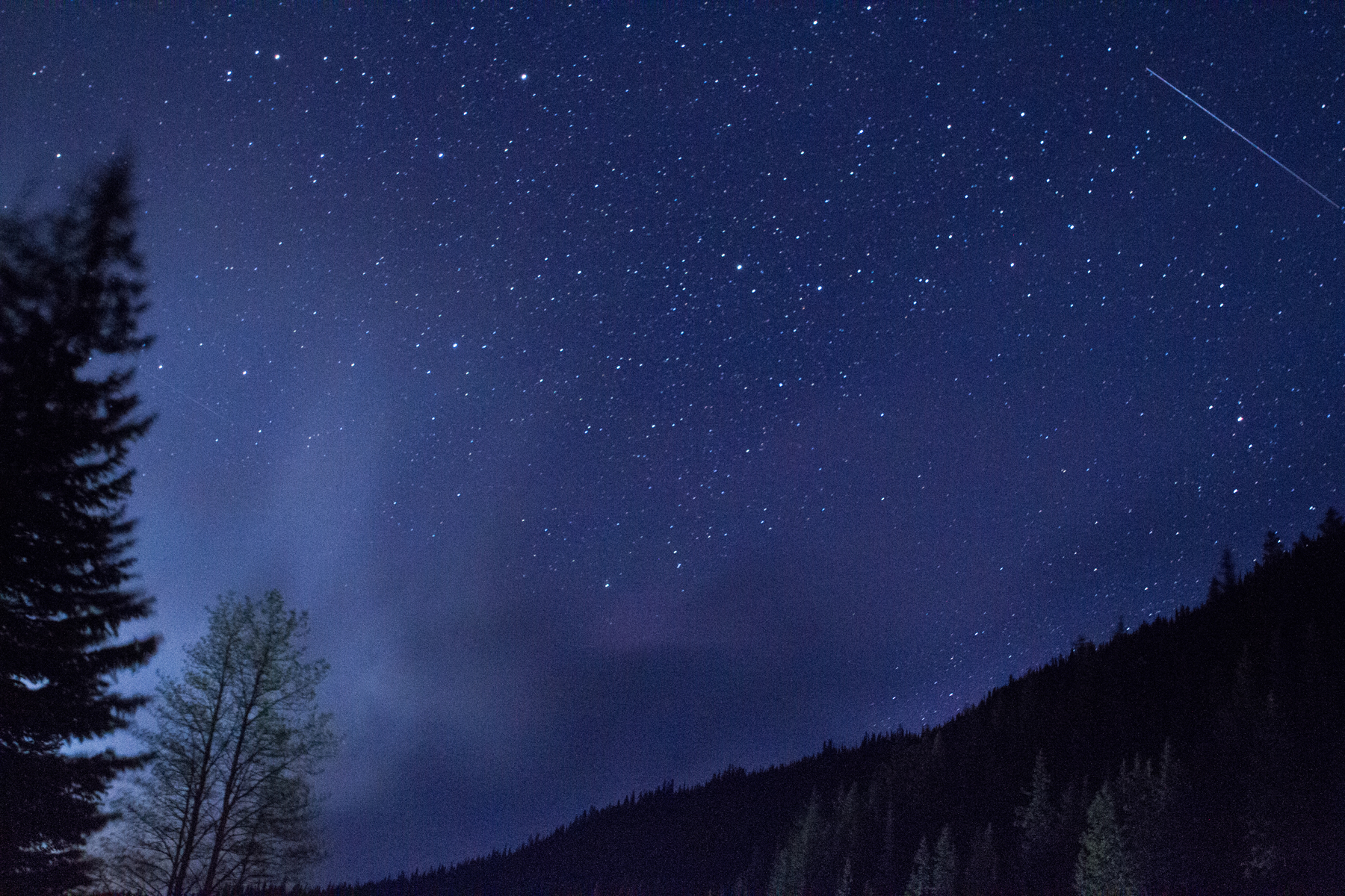 I got lucky with this shot, there're two shooting stars: one very visible on the top right, another one by the trees. The bright lights around the trees are northern lights. When I released the shutter, the northern lights started light up the sky.