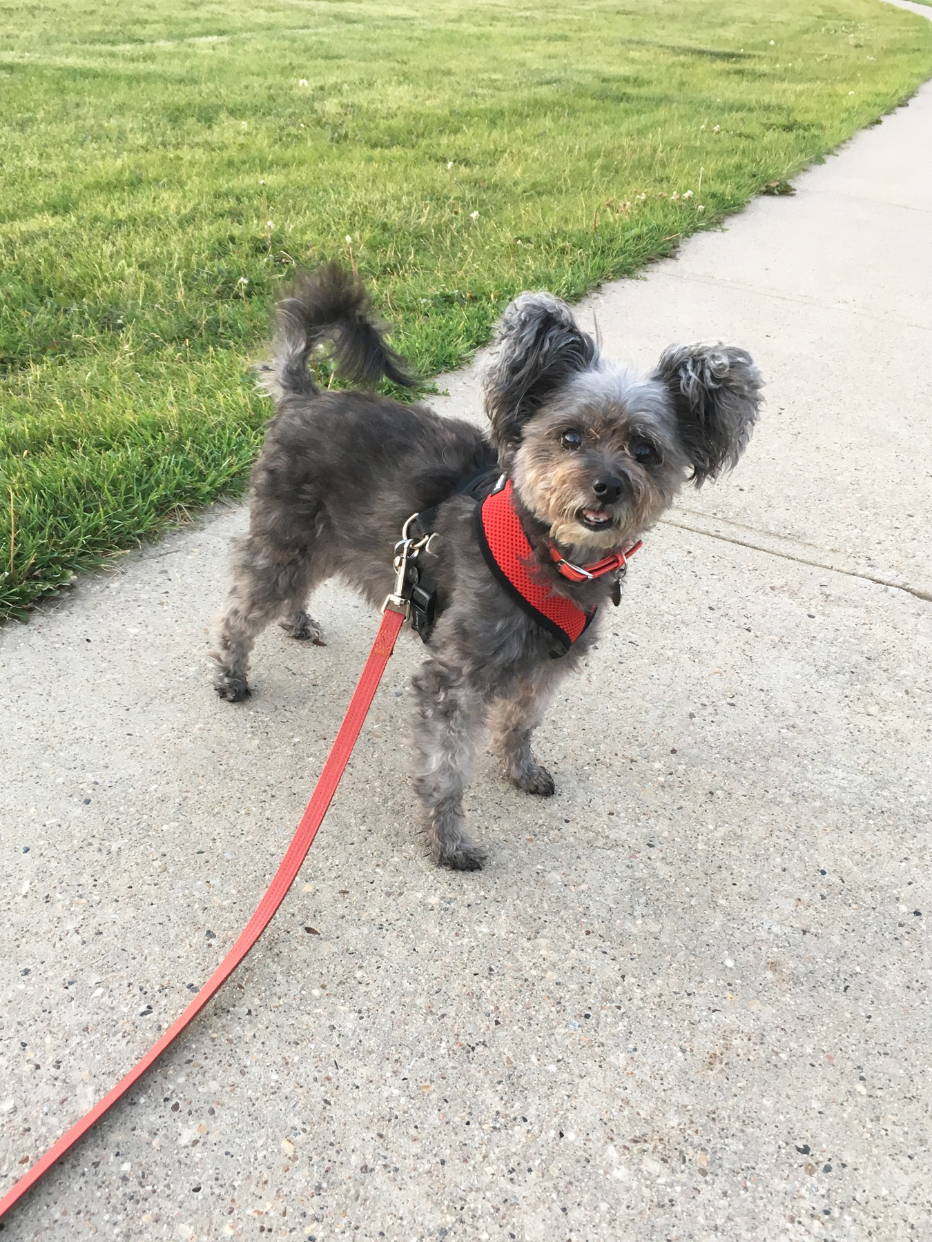 She loves outside!