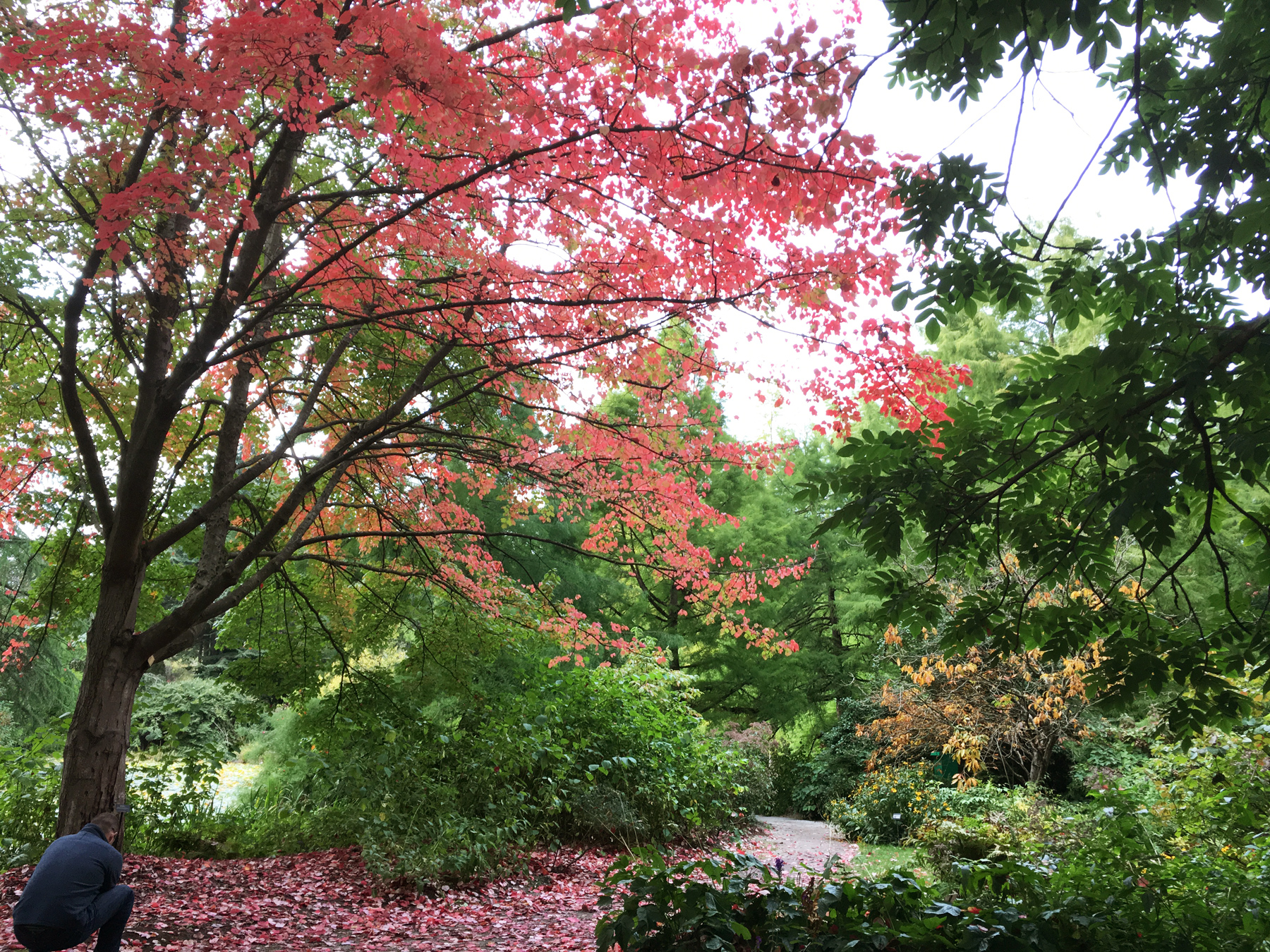 VanDusen Botanical Garden