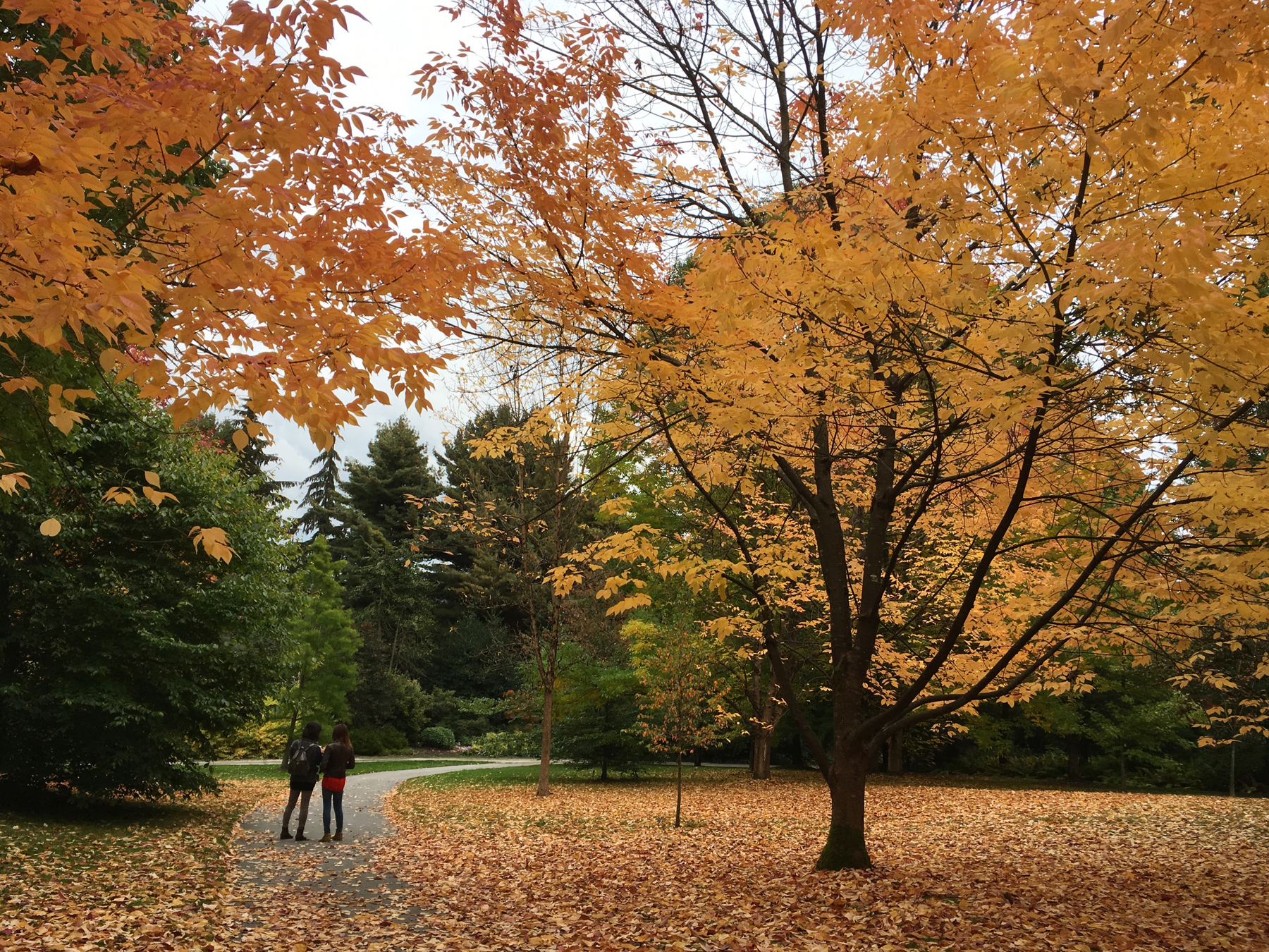 VanDusen Botanical Garden