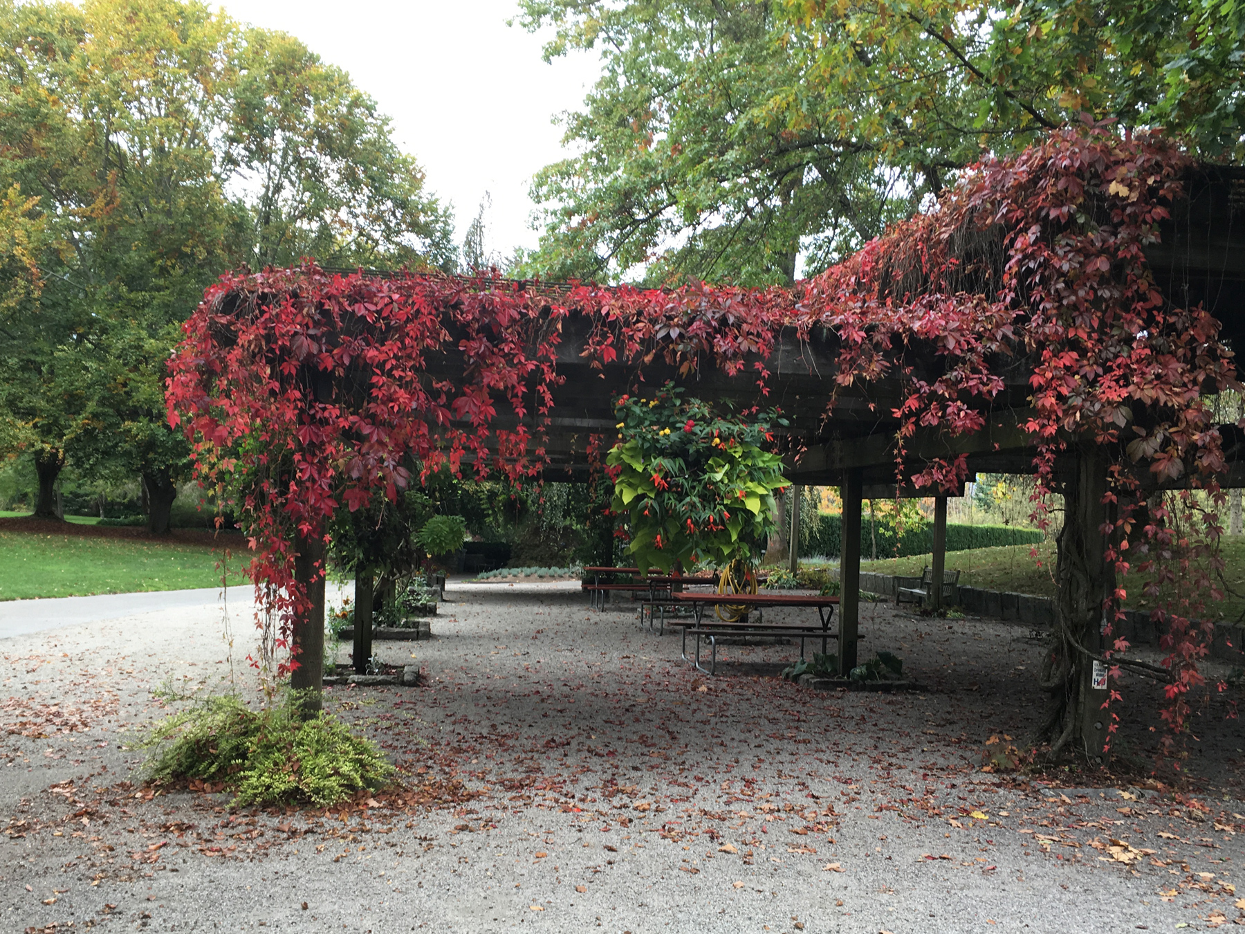 VanDusen Botanical Garden