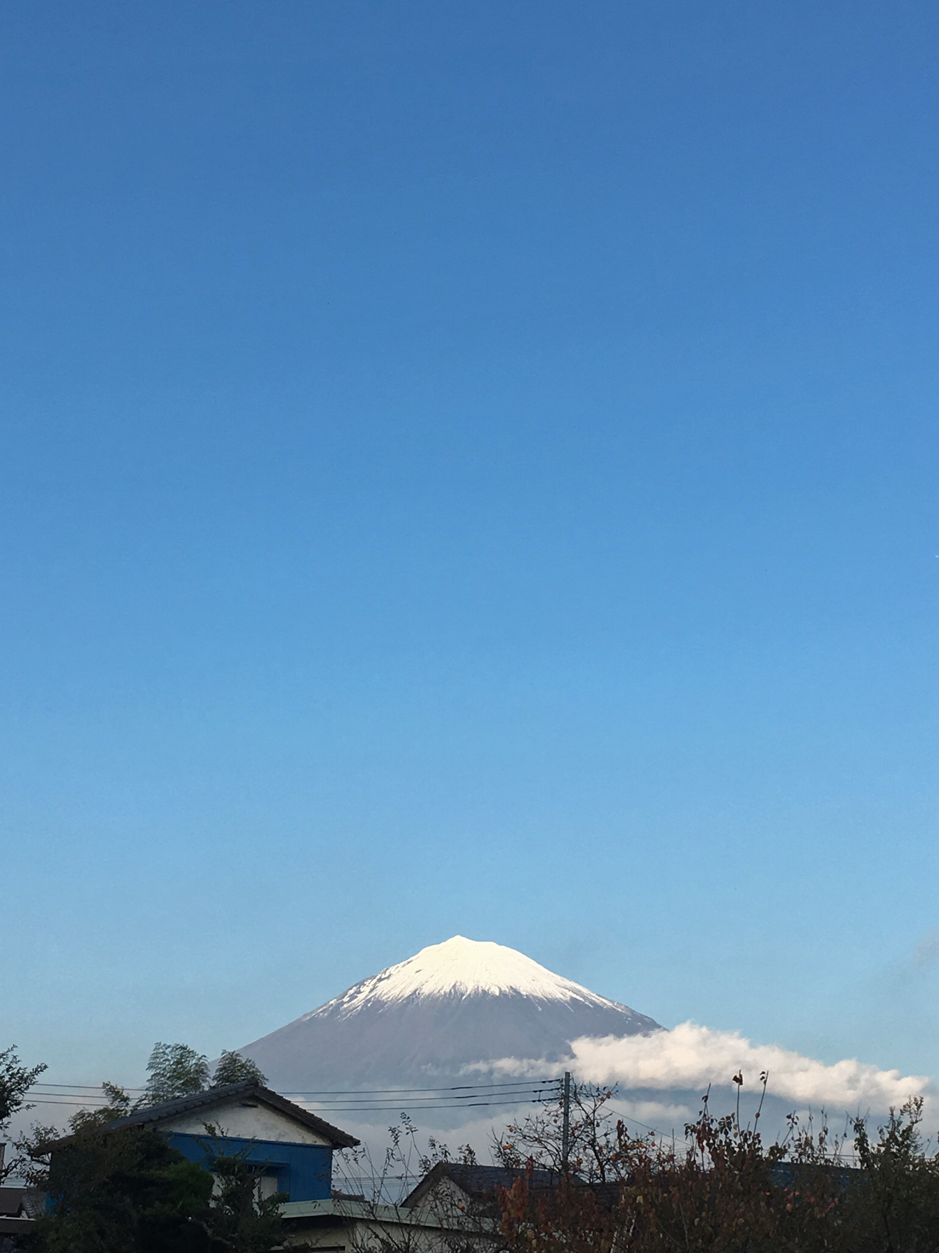One and only, Mt. Fuji