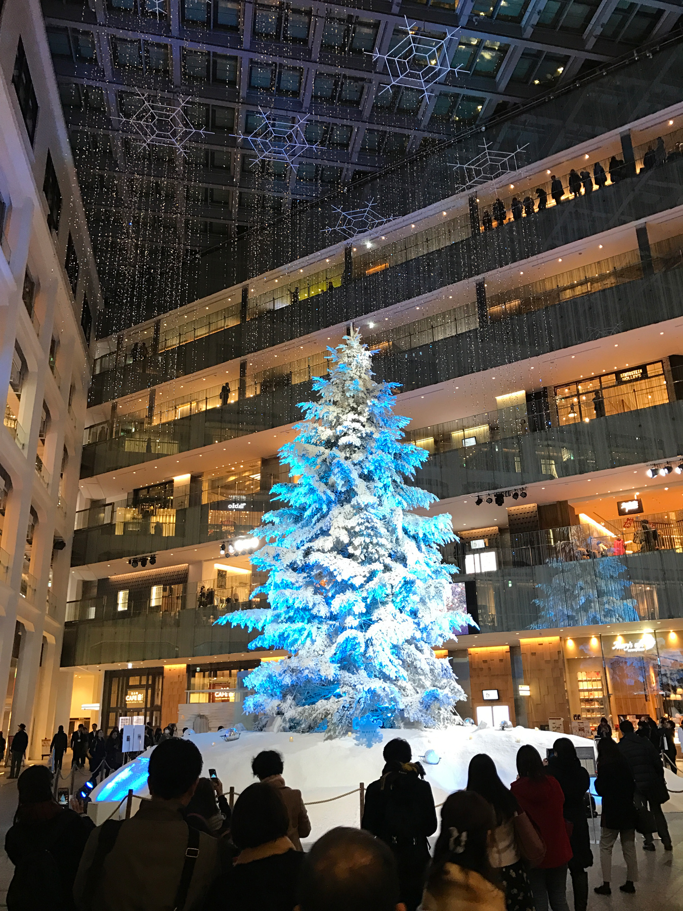 Christemas tree in Kitte (shopping mall near by the Tokyo station)