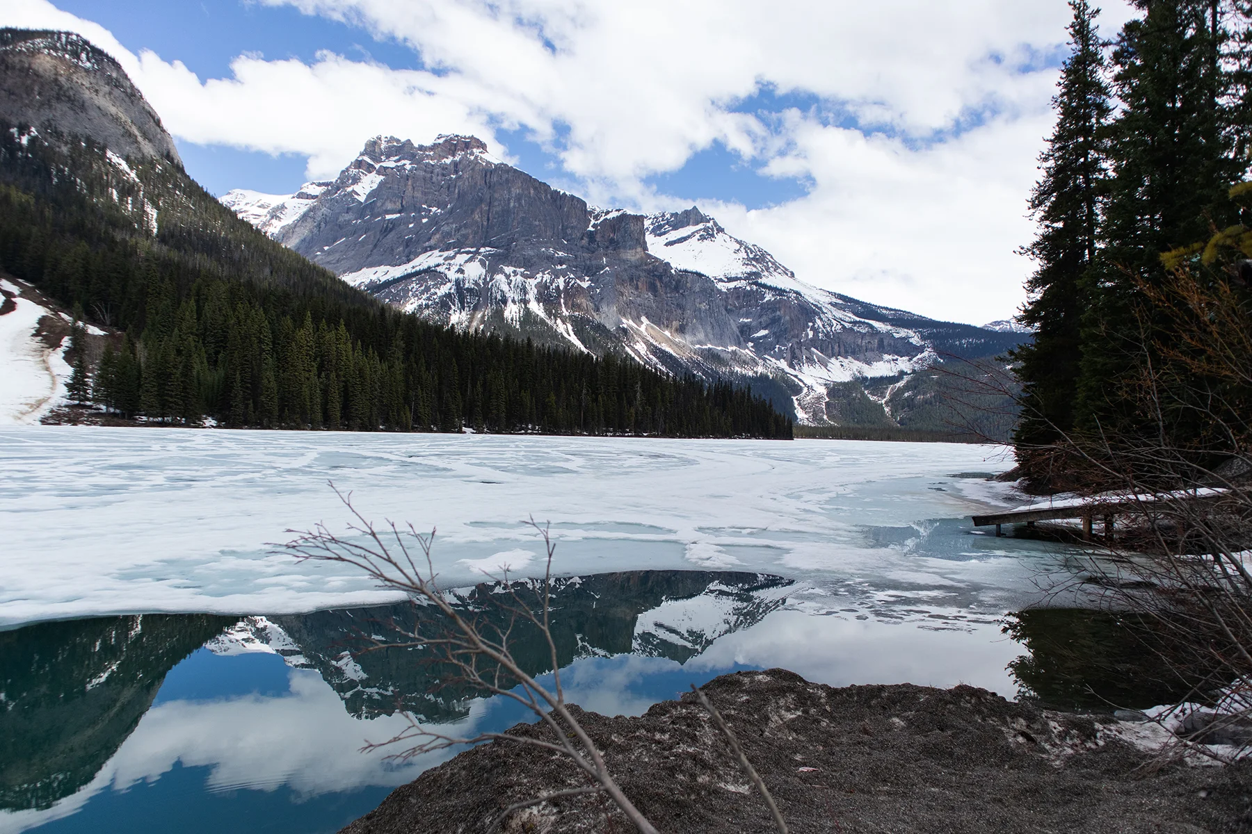 IMG_0181_ab.jpg