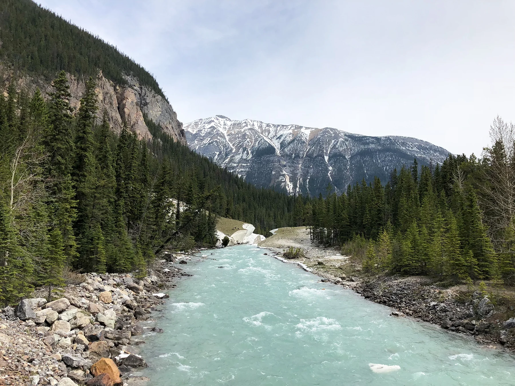 IMG_0602_ab.jpg