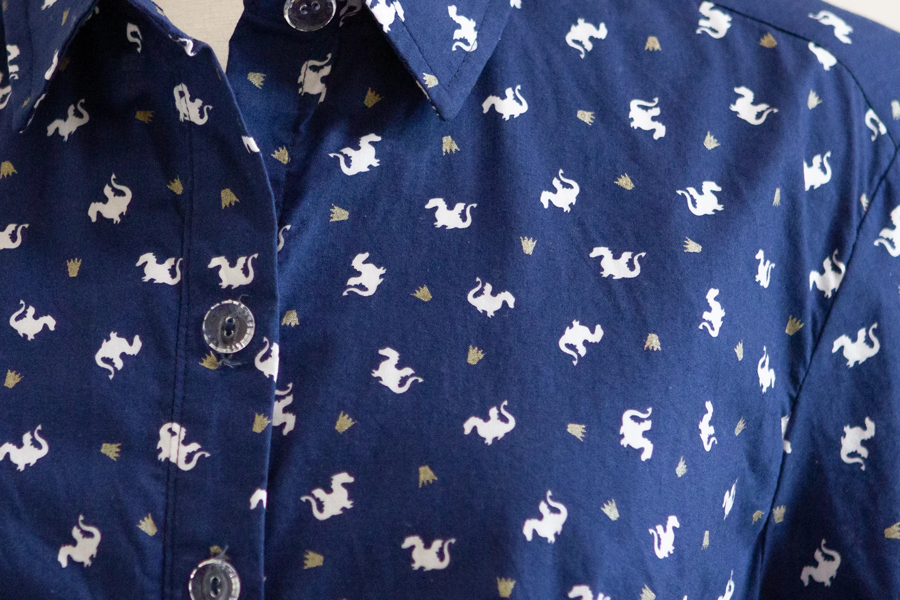 Dragon fabric
