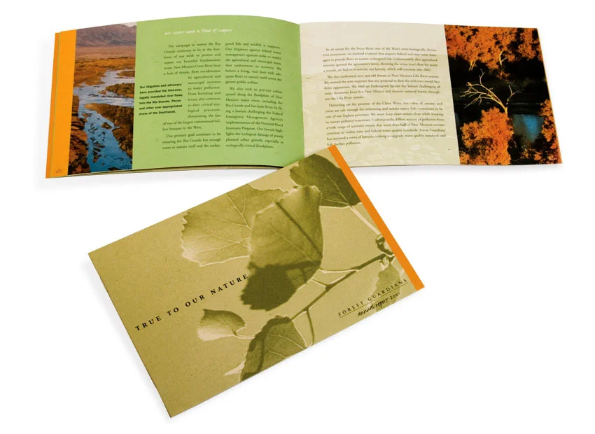 Forest Guardians Brochure