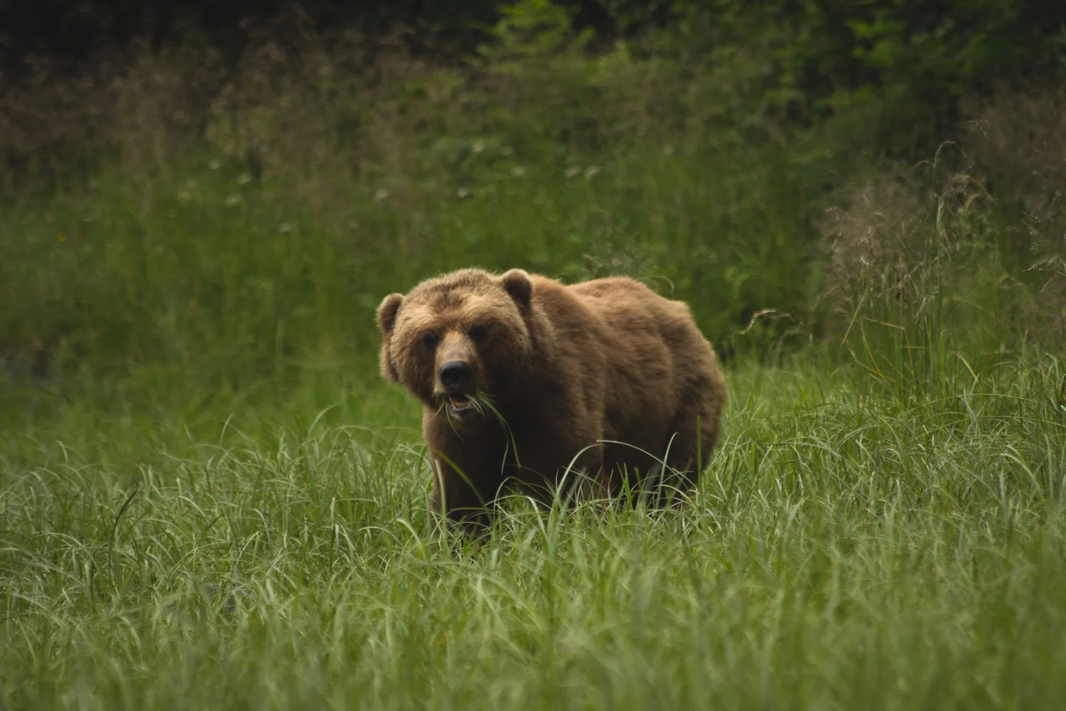 20130718-_MG_2733-Edit.jpg