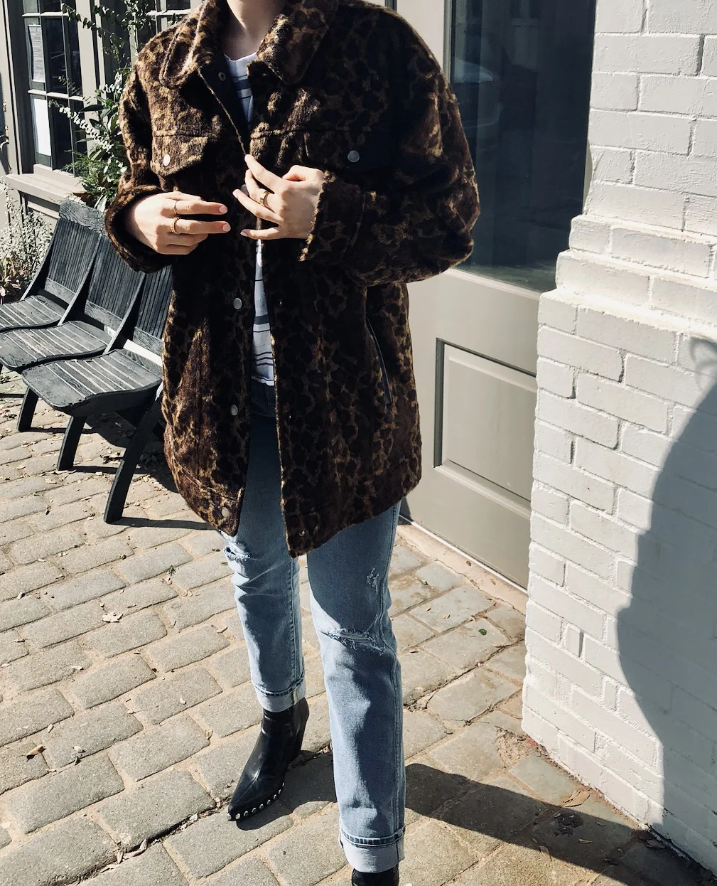leopard7.jpg