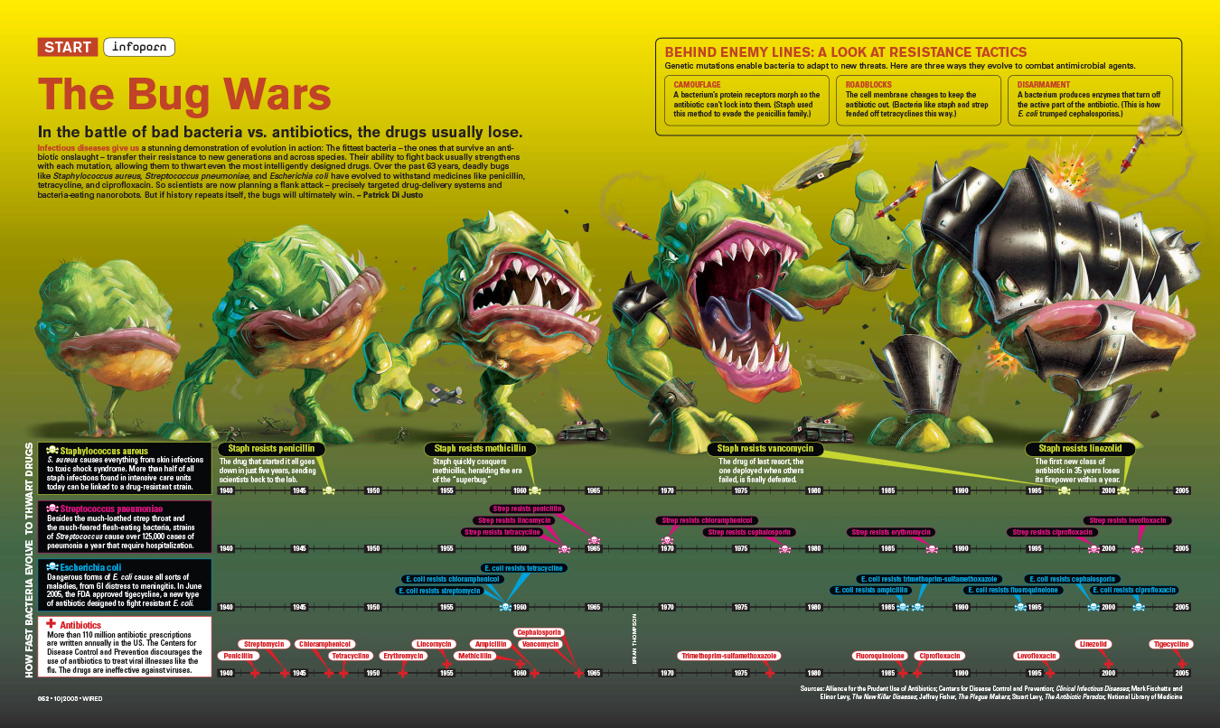 Bug War