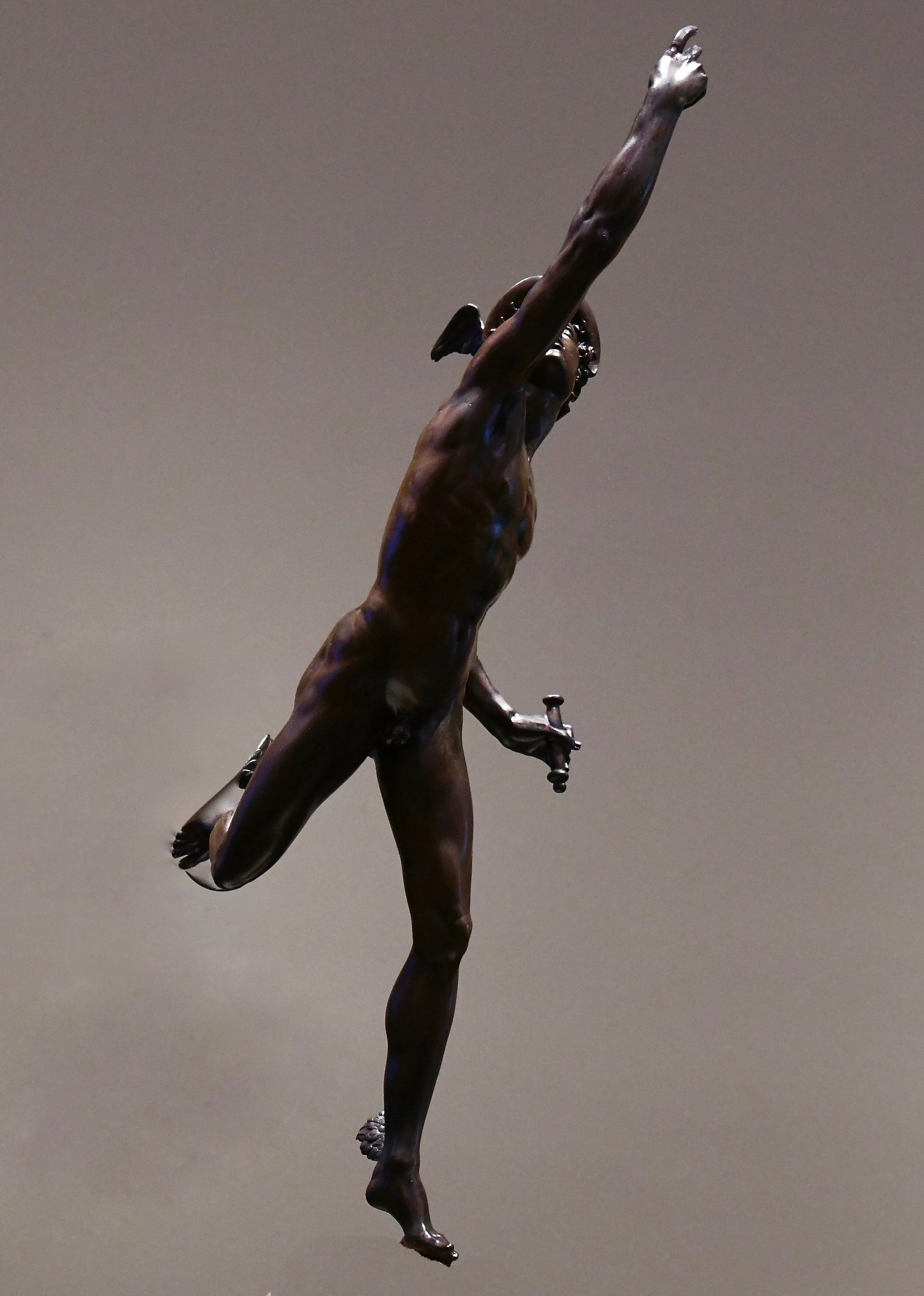 DSC_0141   Apollo .jpeg