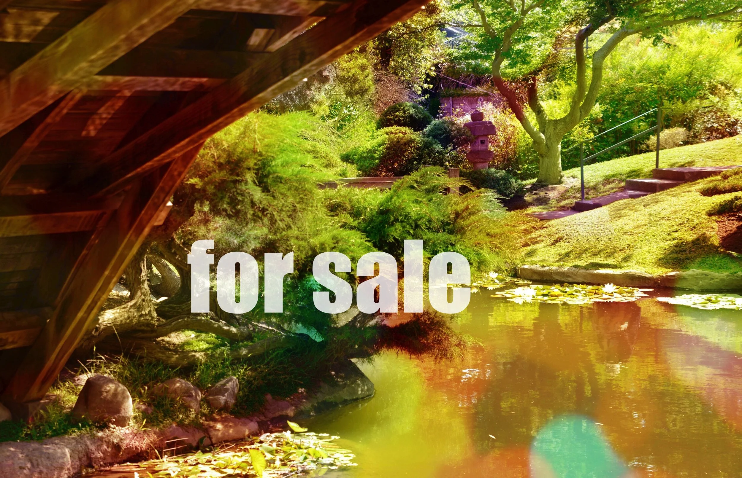 Under the bridge.jpg