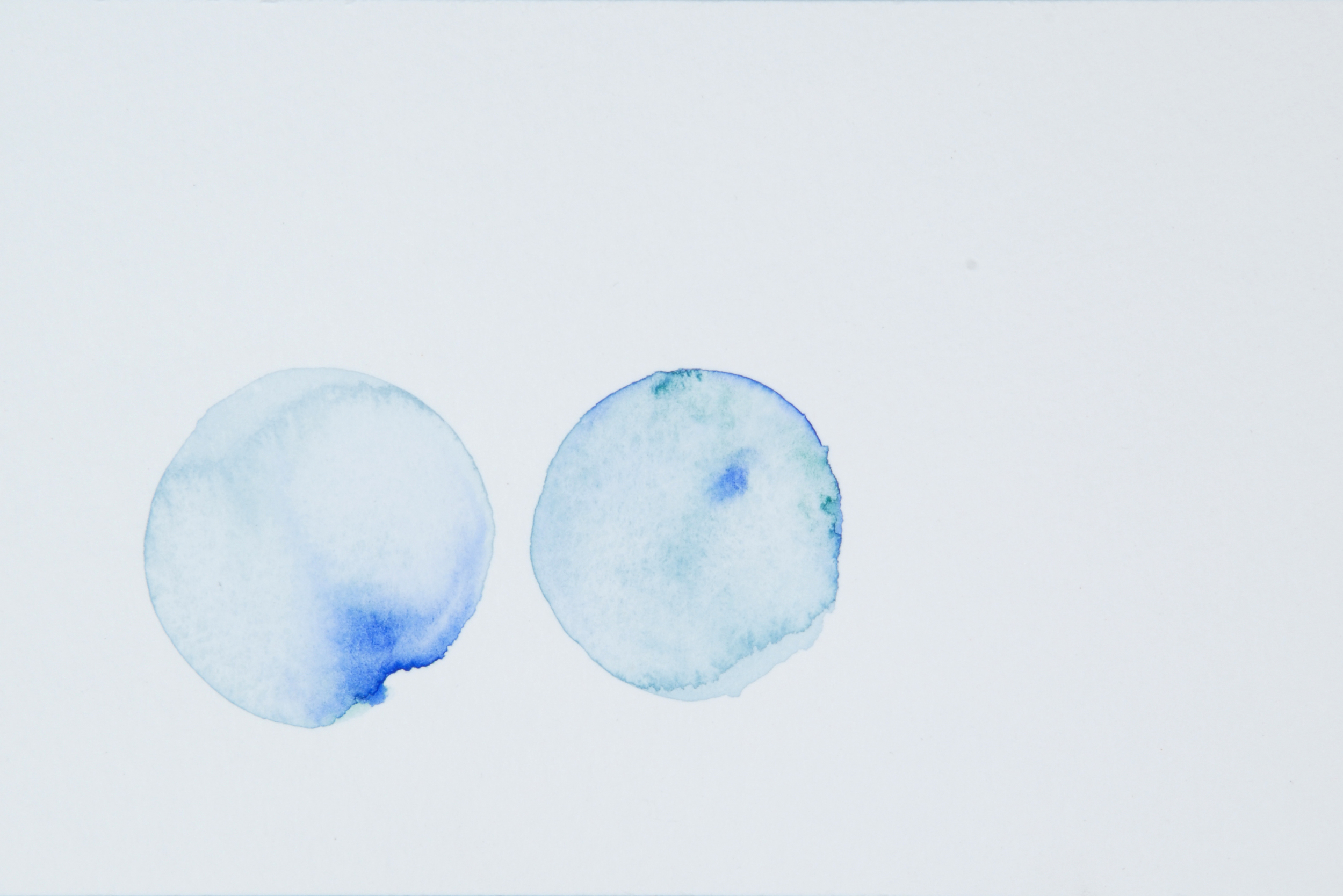 LAB_0525.jpg
