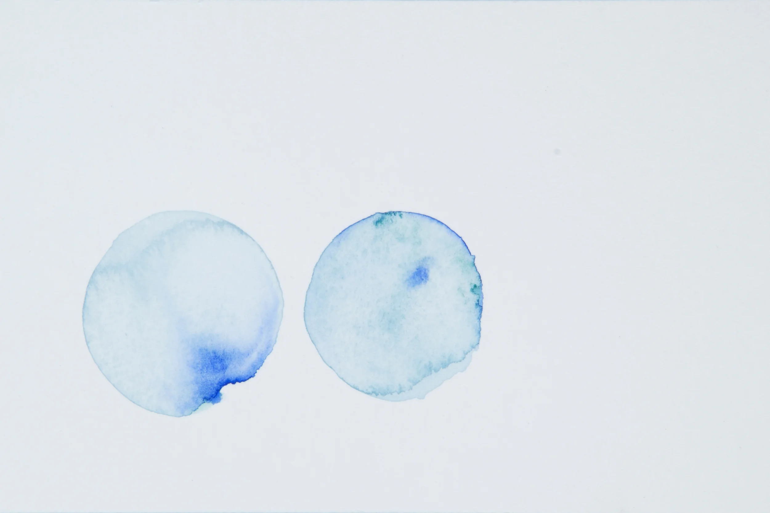 LAB_0525.jpg
