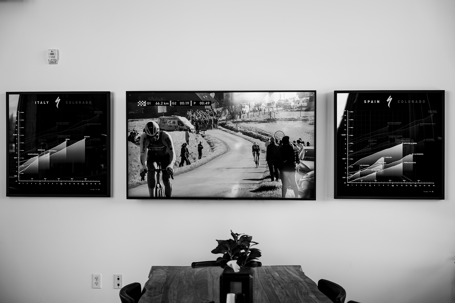 Custom Art / Specialized