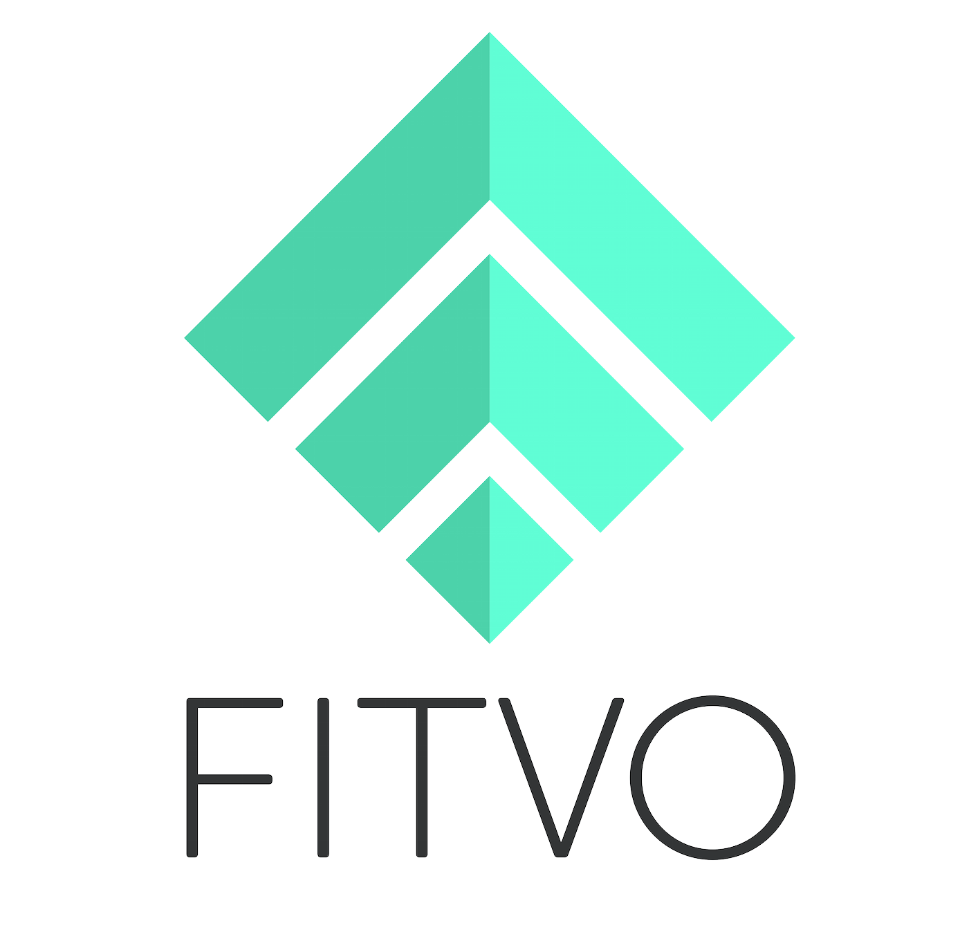 FITVO Black Letters No Background.png