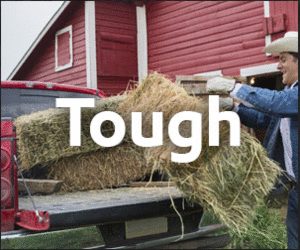 tough oil.gif