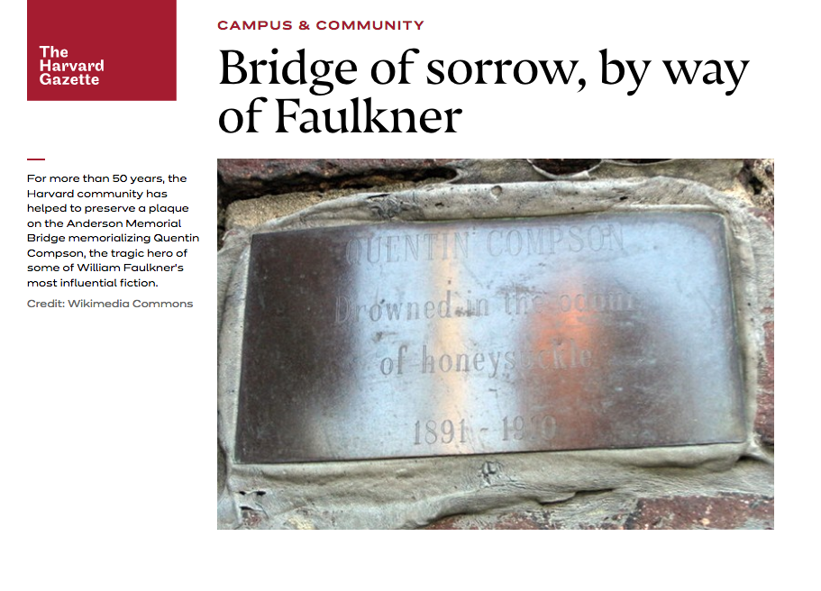 Harvard Gazette Faulkner