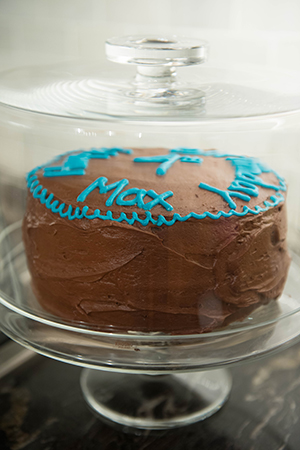 Max's cake on his actual birthday. Yes, I make multiple cakes - we go through a lot of sugar at birthday time!