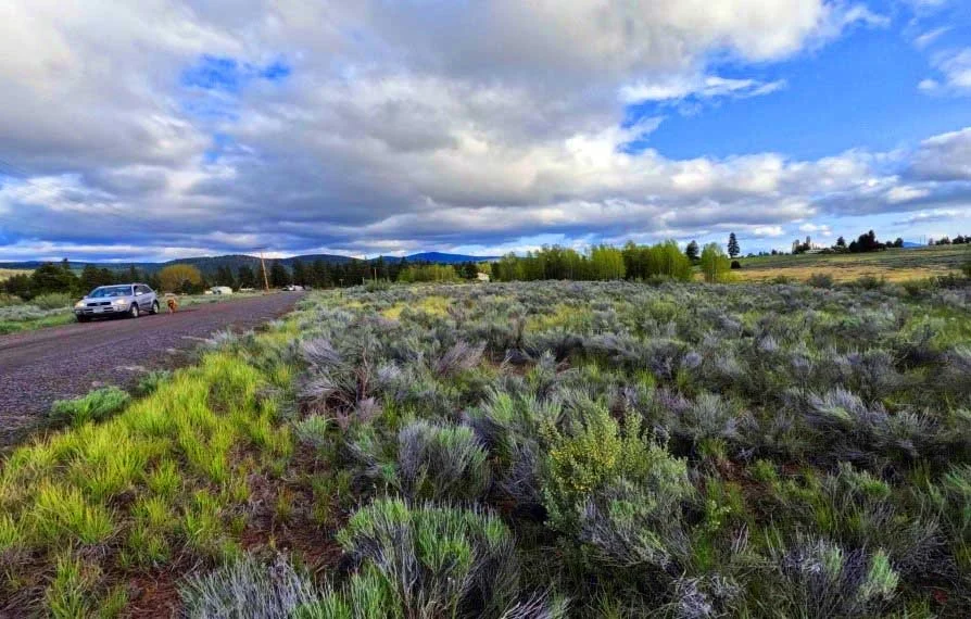 A rural landscape with a gravel road on the left, parked cars alongside it, a field of lavender or similar plants in the foreground, and a backdrop of trees, hills under a cloudy sky.