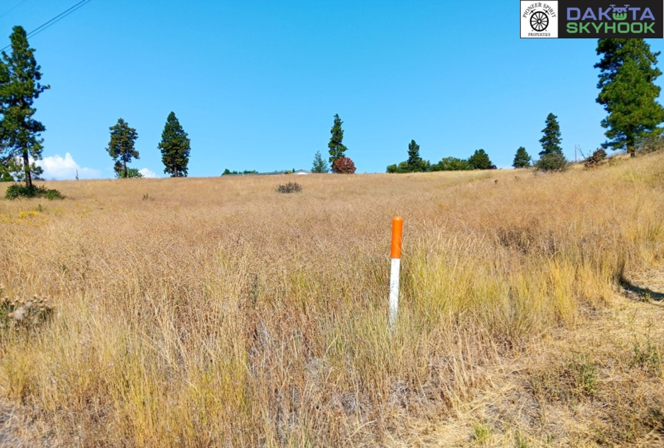 A grassy field with tall dry grass, a dirt path on the right, and several scattered trees in the background under a clear blue sky. There is a white and orange striped pole in the center of the field. Logos are present in the top right corner.