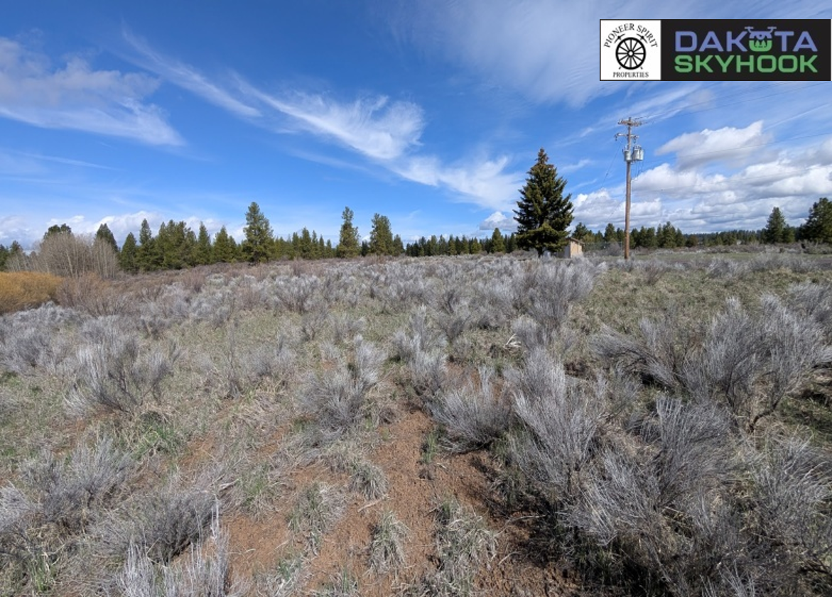 A landscape of sagebrush and trees under a partly cloudy blue sky with a utility pole and a building in the distance.