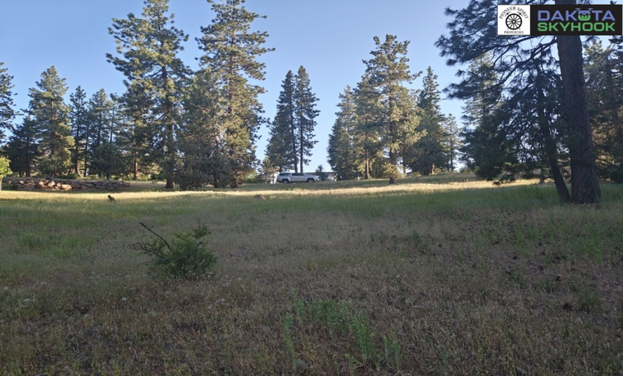 A grassy field with tall trees and a white truck parked in the distance under a clear blue sky.