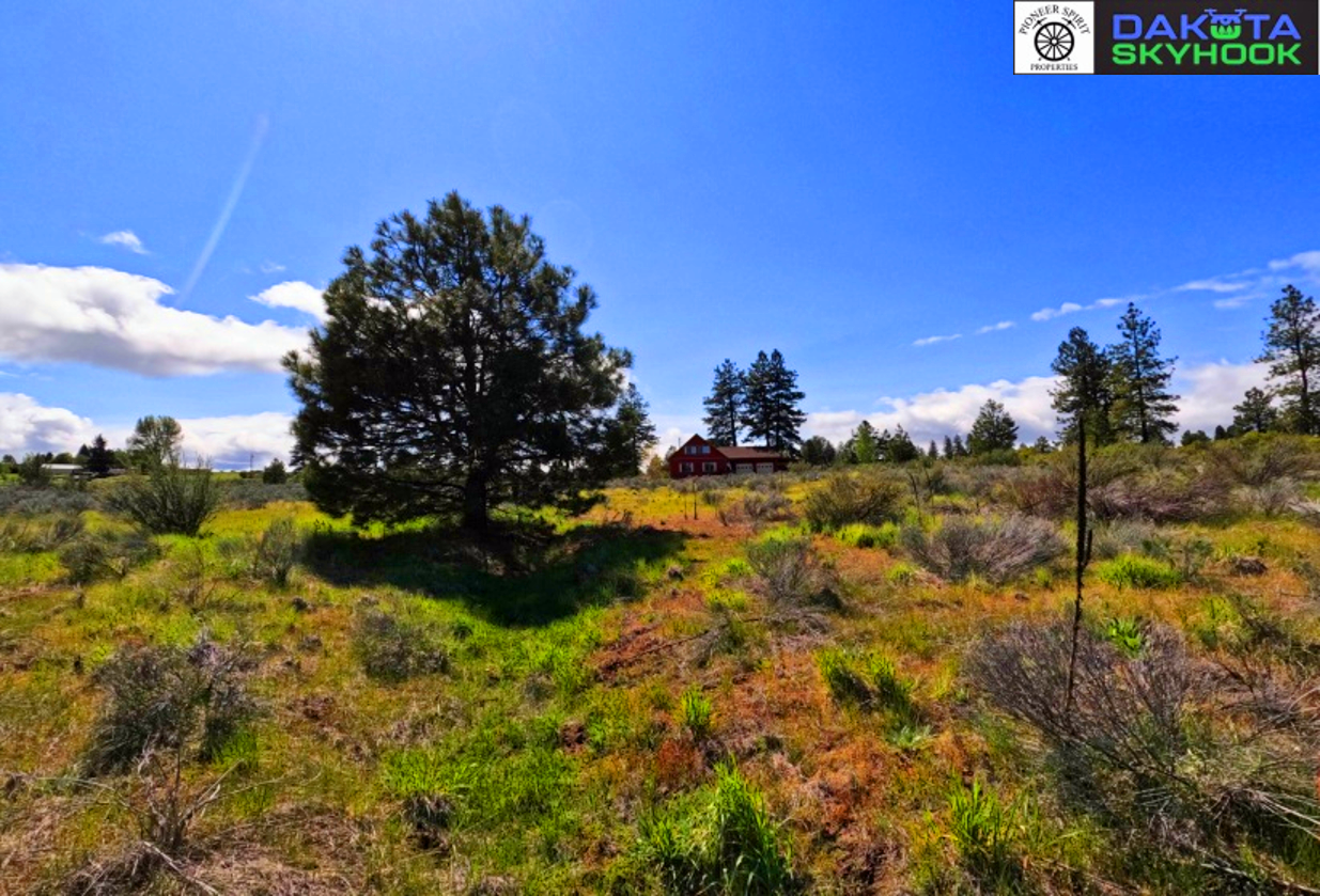 A rural landscape with a large pine tree, open grassy fields with scattered bushes, and a house in the distance under a bright blue sky with some clouds.