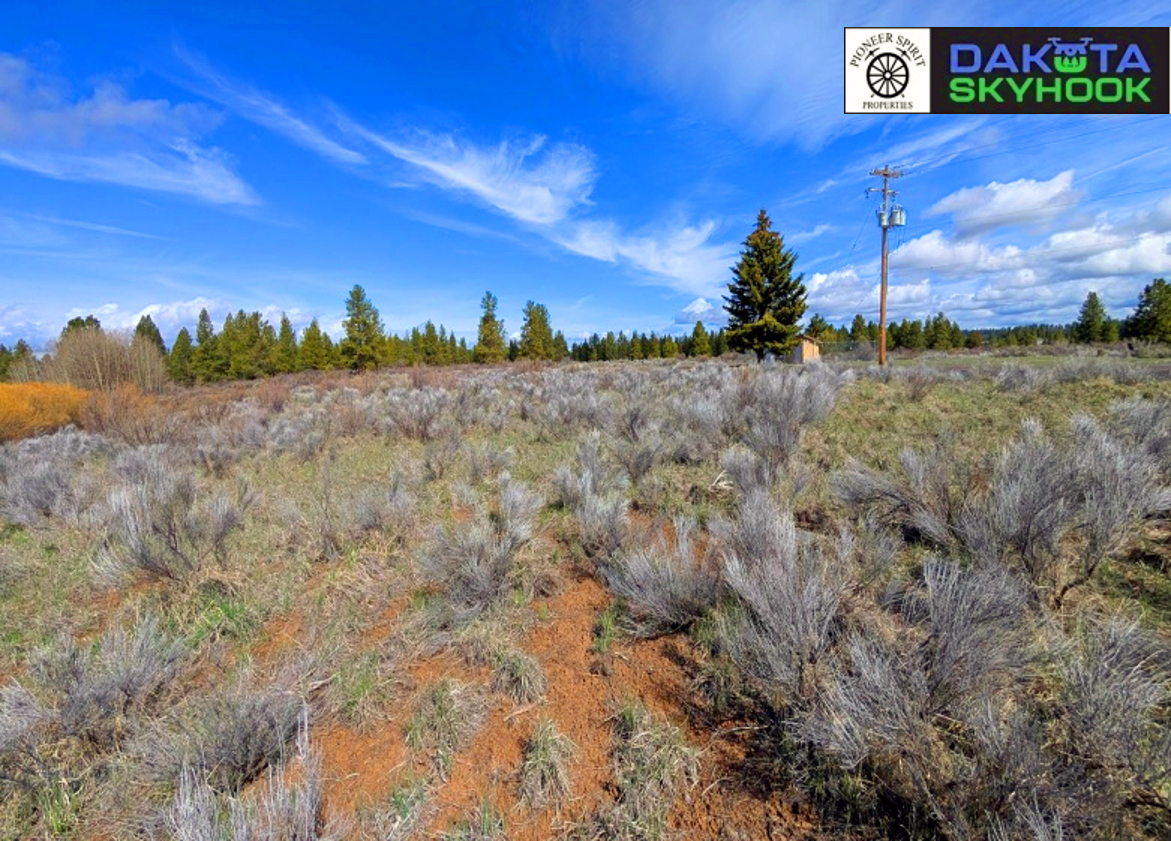 A landscape of a dry field with sagebrush, green pine trees in the distance, a utility pole, and a partly cloudy blue sky with wispy clouds.