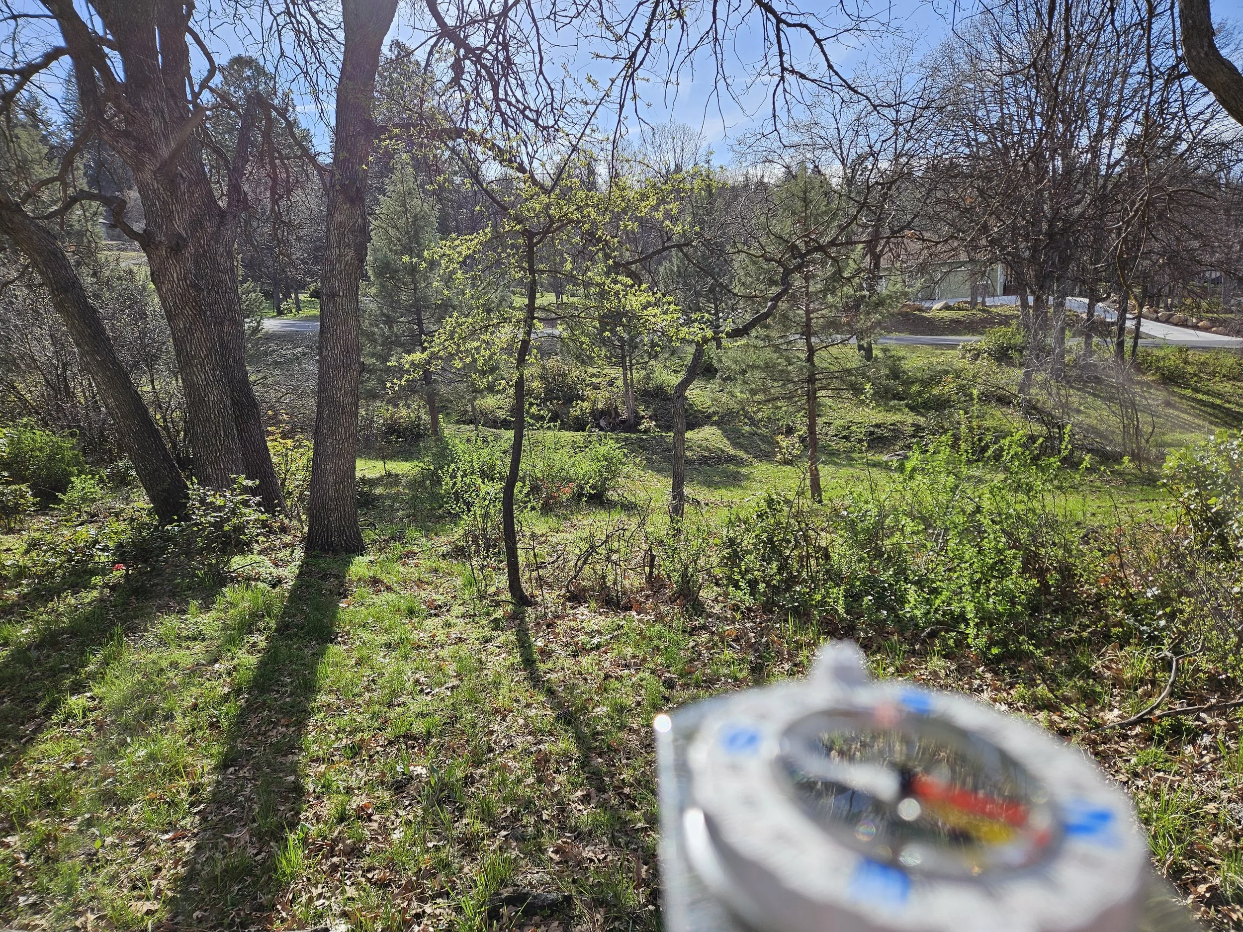 Outdoors scene with trees, blue sky, and greenery, as seen from a window or transparent object at the bottom of the image.