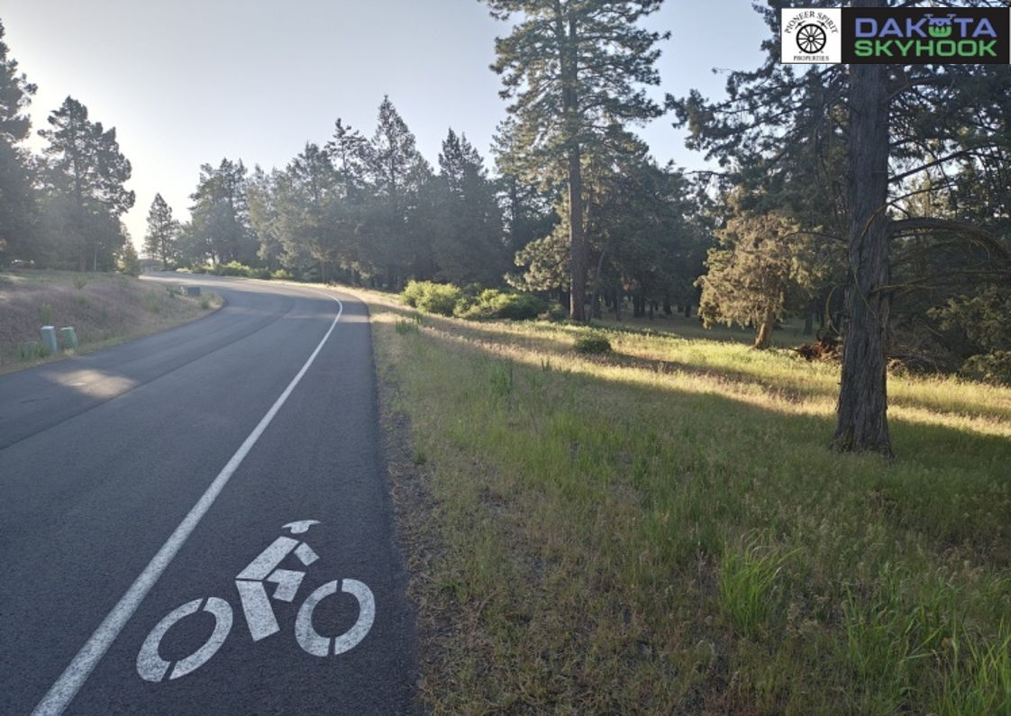 A curved paved road adjacent to a grassy area with trees, featuring a bicycle lane marked on the pavement.