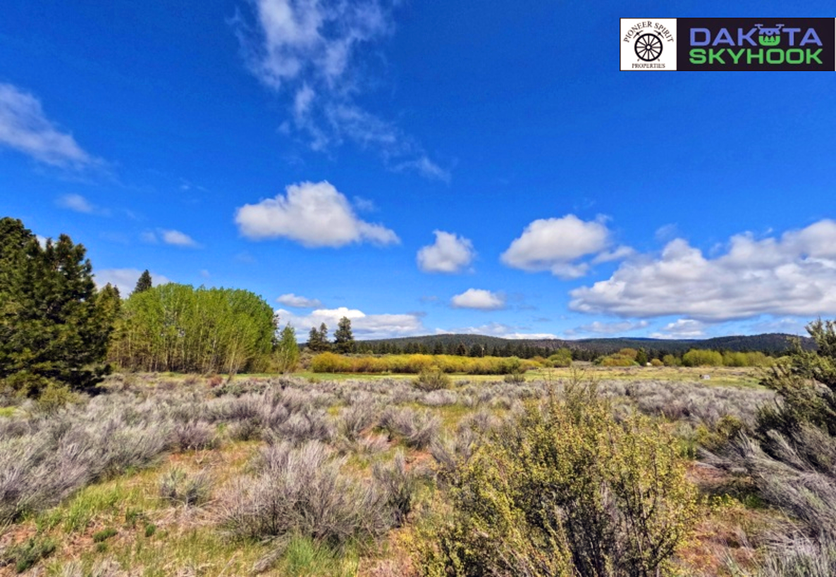 A scenic landscape of a field with sagebrush, trees, and rolling hills under a bright blue sky with scattered white clouds.