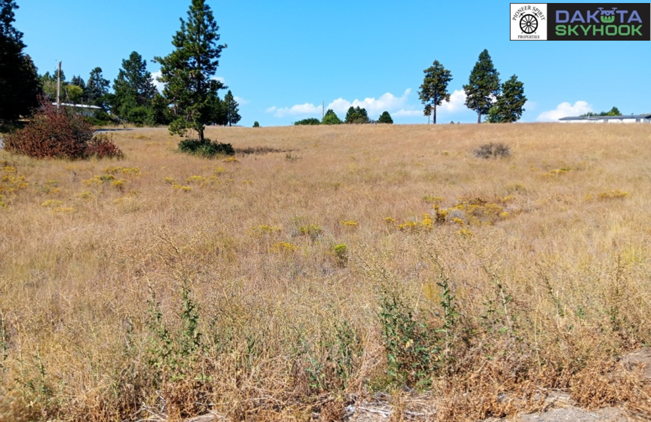A dry grassy hillside with scattered trees and shrubs under a blue sky with some clouds.