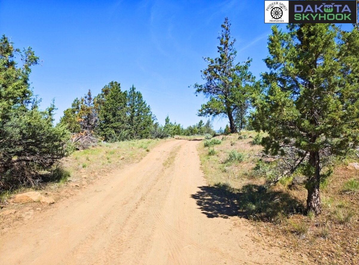 Dirt trail on a hillside with green trees and blue sky, with logos for Pioneer Properties and Dakota Skyhook in the top right corner.