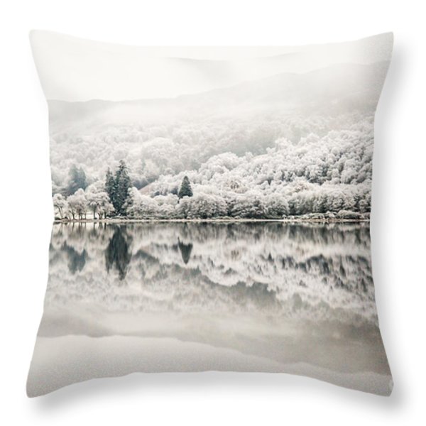 throw pillow