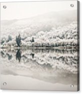 acrylic print