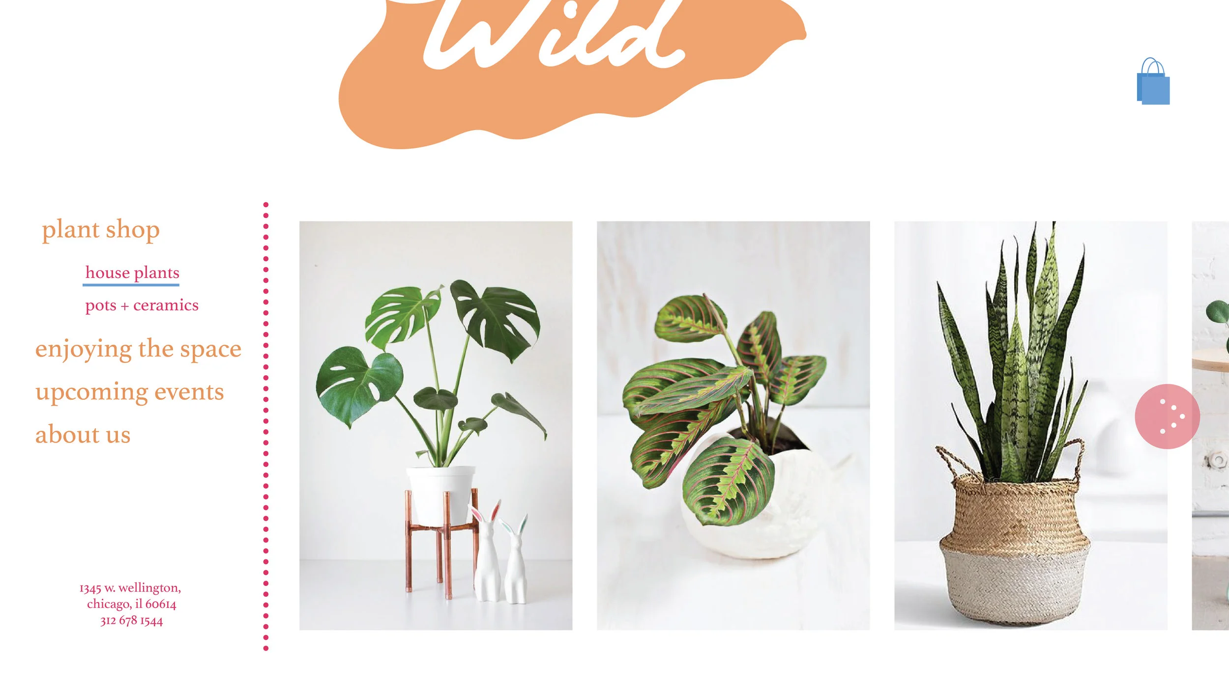 wild_site-02.jpg