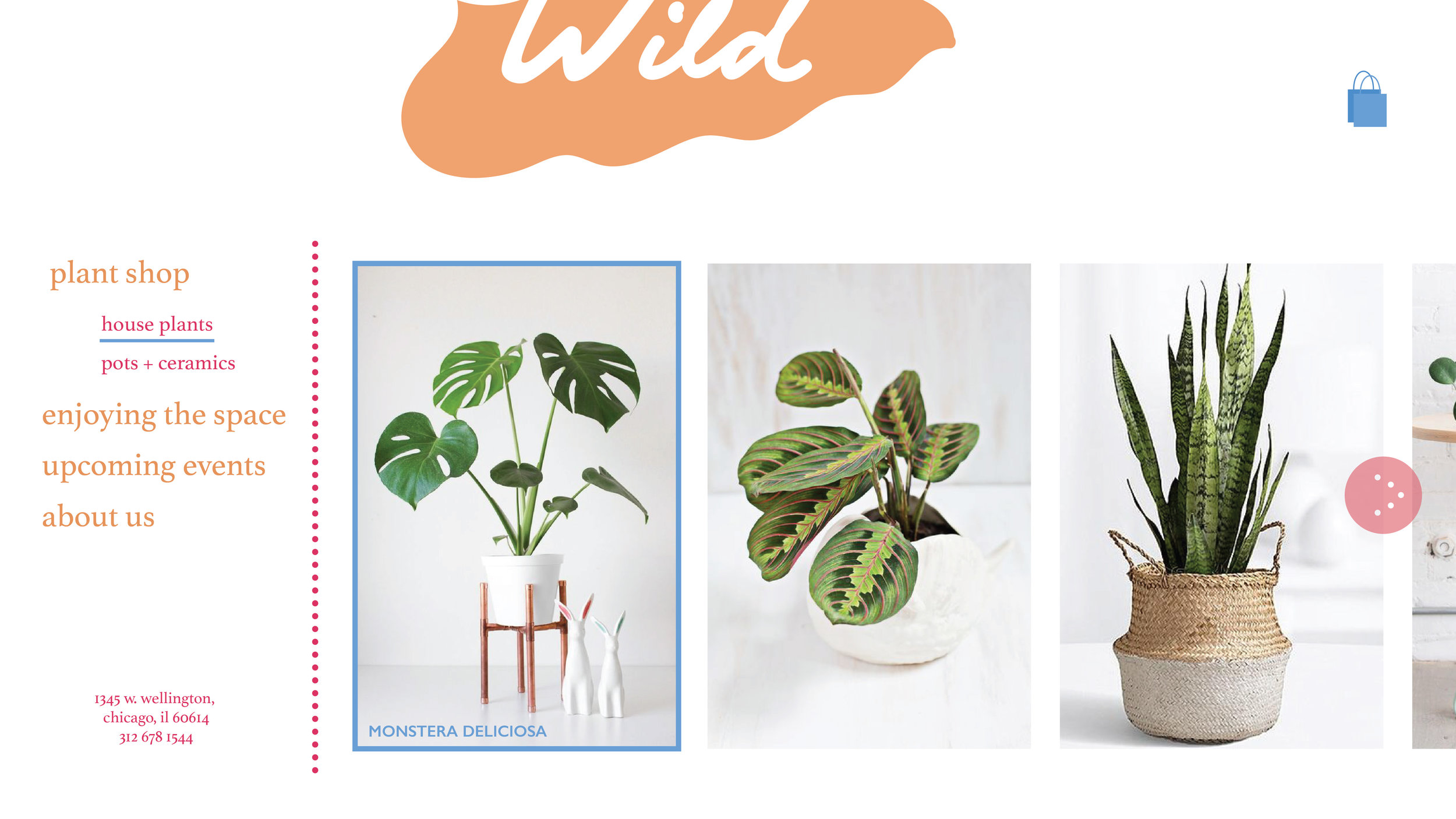 wild_site-03.jpg