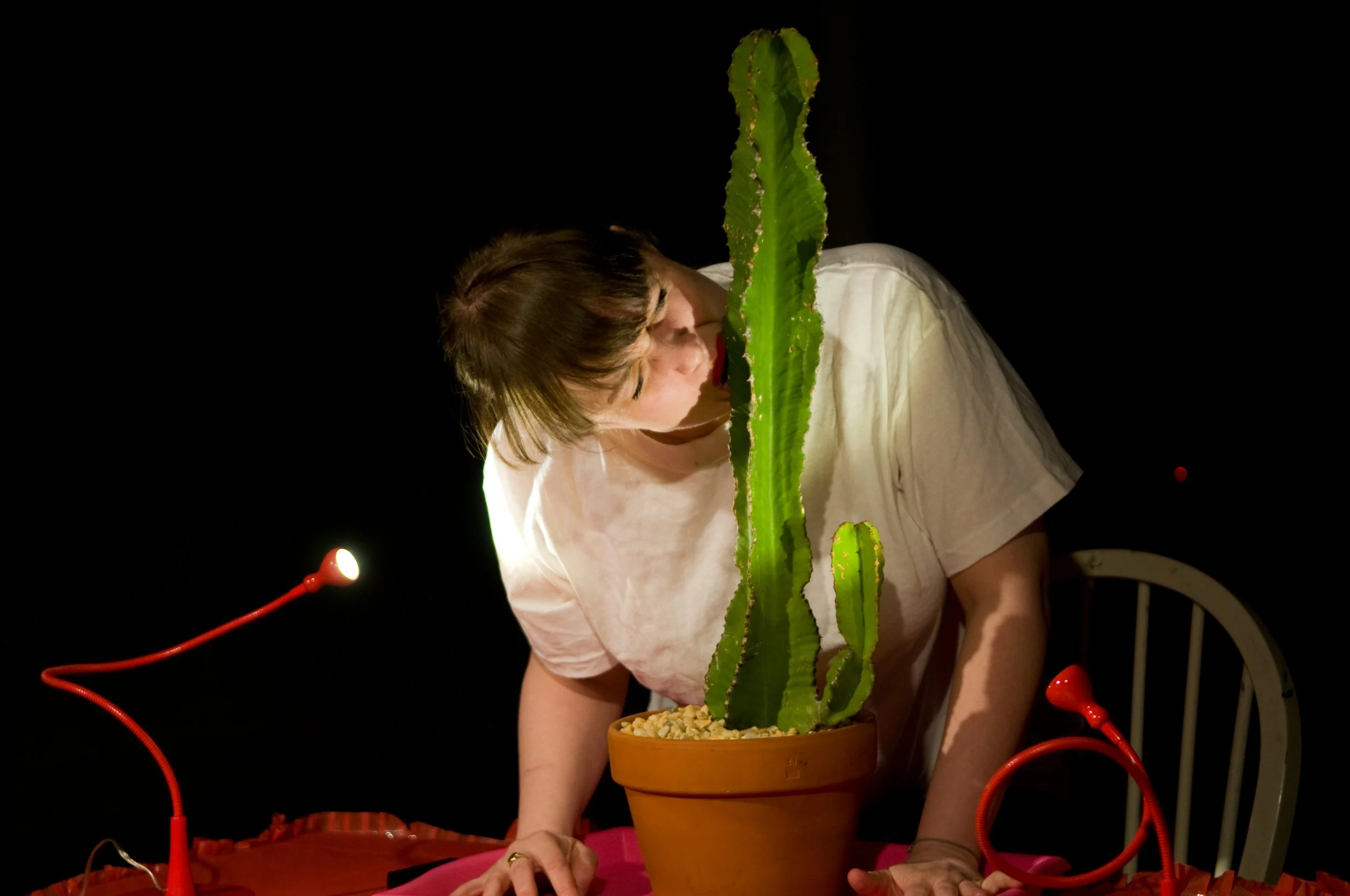 Produce/Procreate, Grace Exhibition Space, Brooklyn, NY, 2012, Photo by Ken Yee