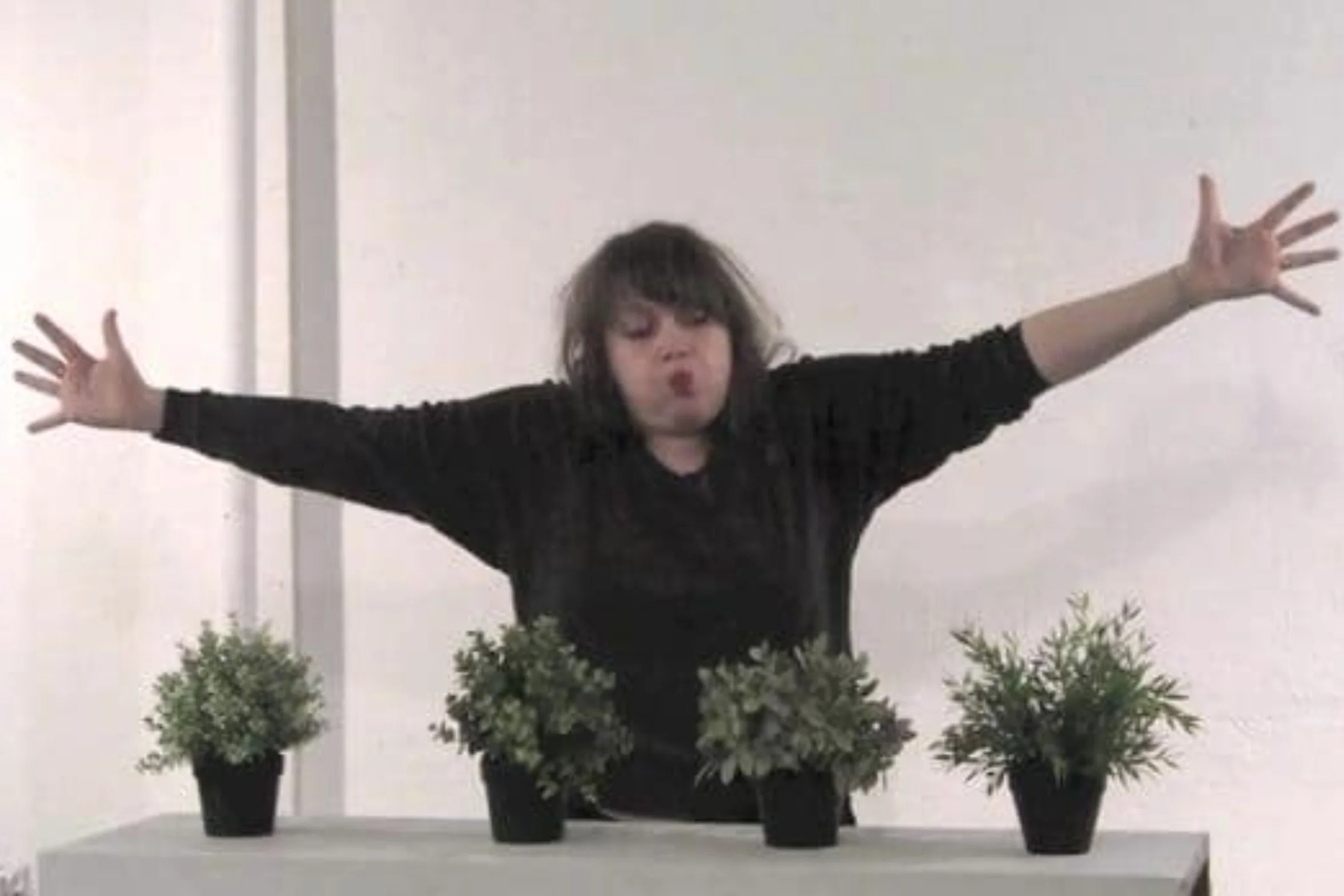 Panoply Performance Lab, Brooklyn, NY, 2014