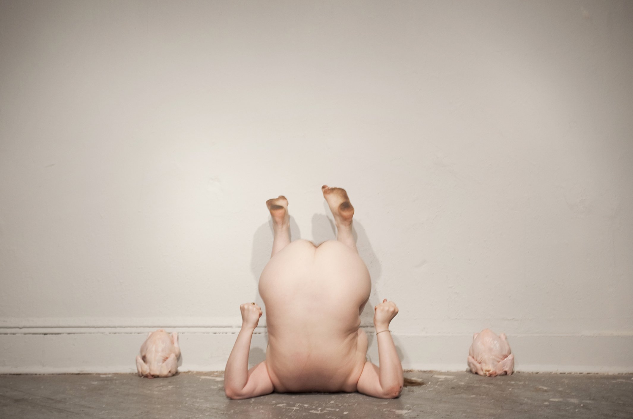 Hawk/Dove, Grace Exhibition Space, Brooklyn, NY, 2011, Photo by Alessandro Vecchi