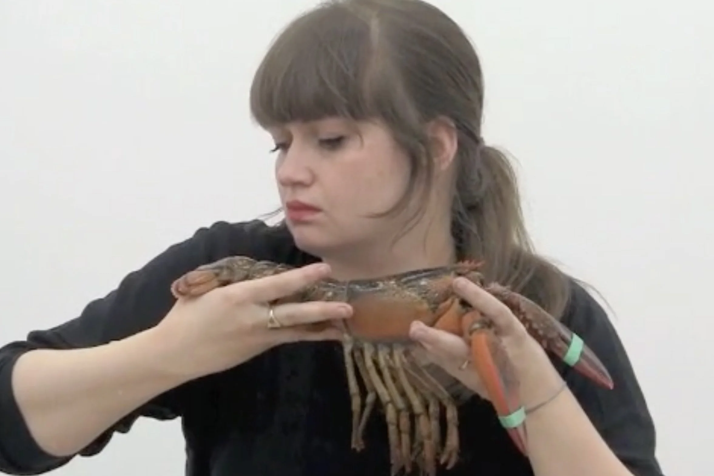 Consider the Lobster, Time Space Body Objects 2, Anthony Greaney Gallery, Boston, MA, 2012